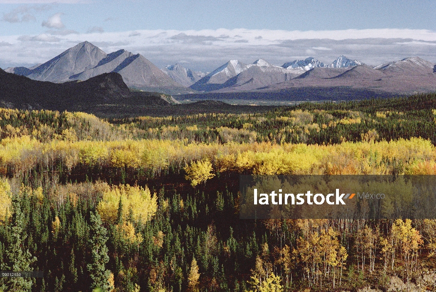 Otoño paisaje con bosques y montañas, Parque Nacional de Denali y Preserve, Alaska.