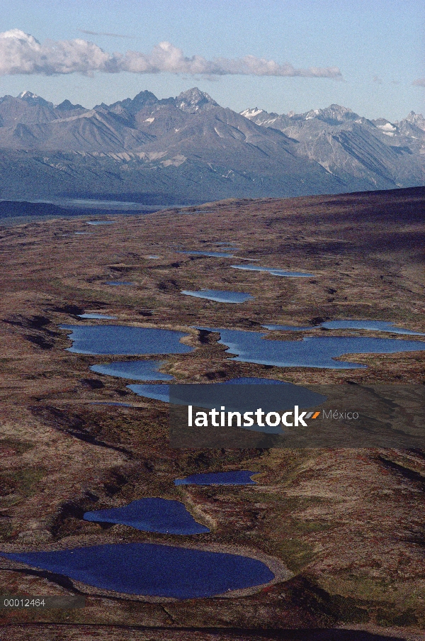 Tundra con estanques y la gama de Alaska, el Parque Nacional Lake Clark y Preserve, Alaska