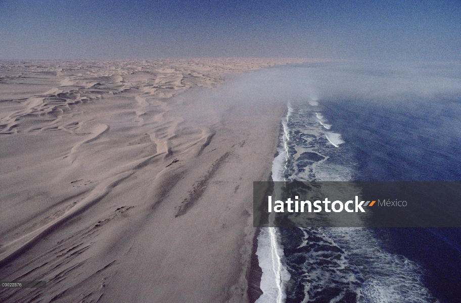 Costa Atlántica cumple desierto de Namib, Namibia