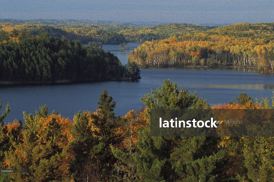 Alces lago rodeado por árboles en otoño colores, límite aguas canoa zona desierto, Minnesota