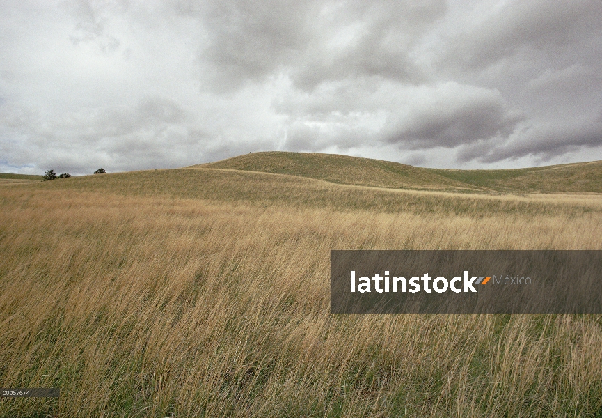 Cielos tormentosos en la pradera de tallgrass, Parque Nacional Cueva del viento, Dakota del sur