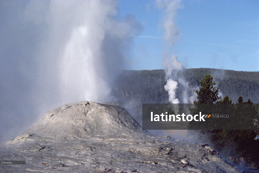 Géiseres en erupción, Parque Nacional de Yellowstone, Wyoming