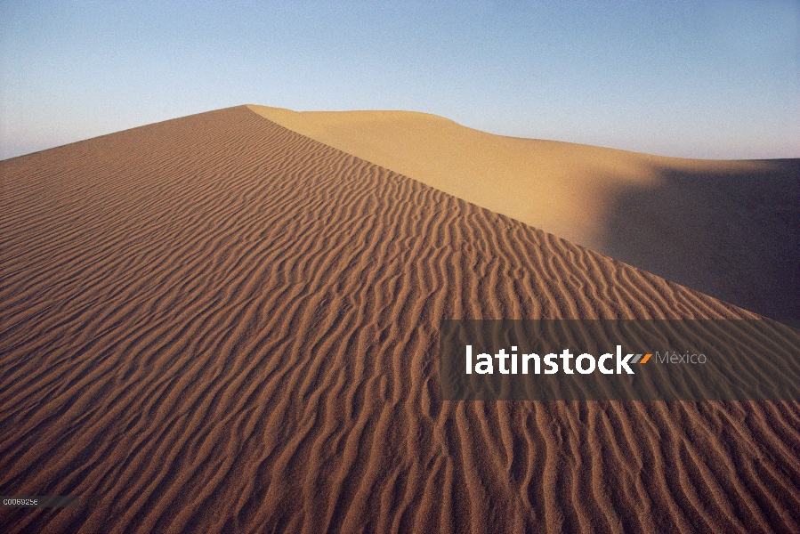 Ondas del viento en las dunas de arena, desierto de Namib, Namibia