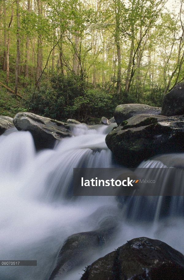 Secuencia en cascada, Parque nacional Great Smoky, Carolina del norte