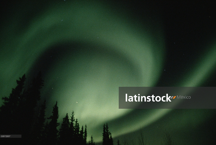 Aurora Boreal sobre bosque, Alaska