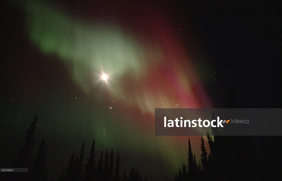 Aurora Boreal mostrando la estrella del norte y Big Dipper, Alaska