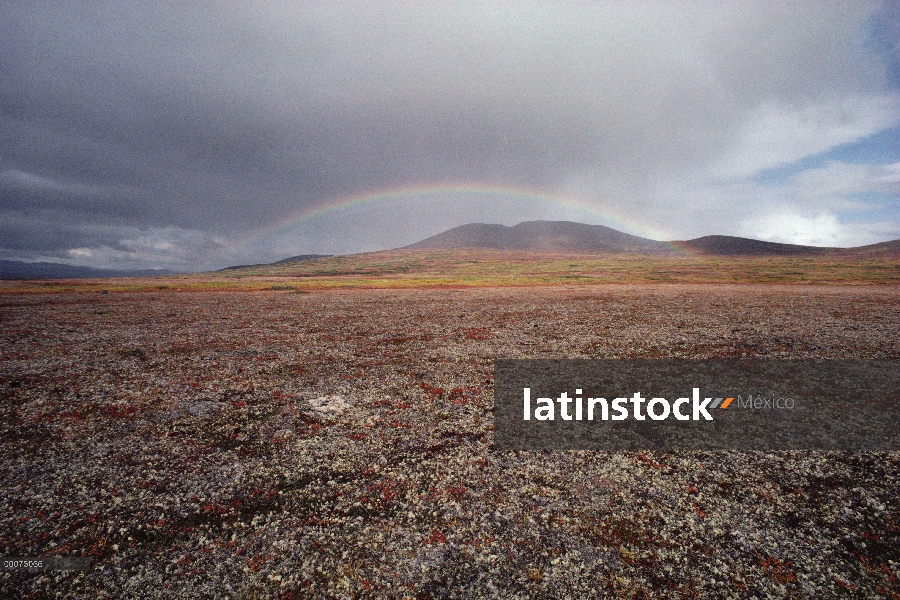 Arco iris sobre otoño tundra, Alaska