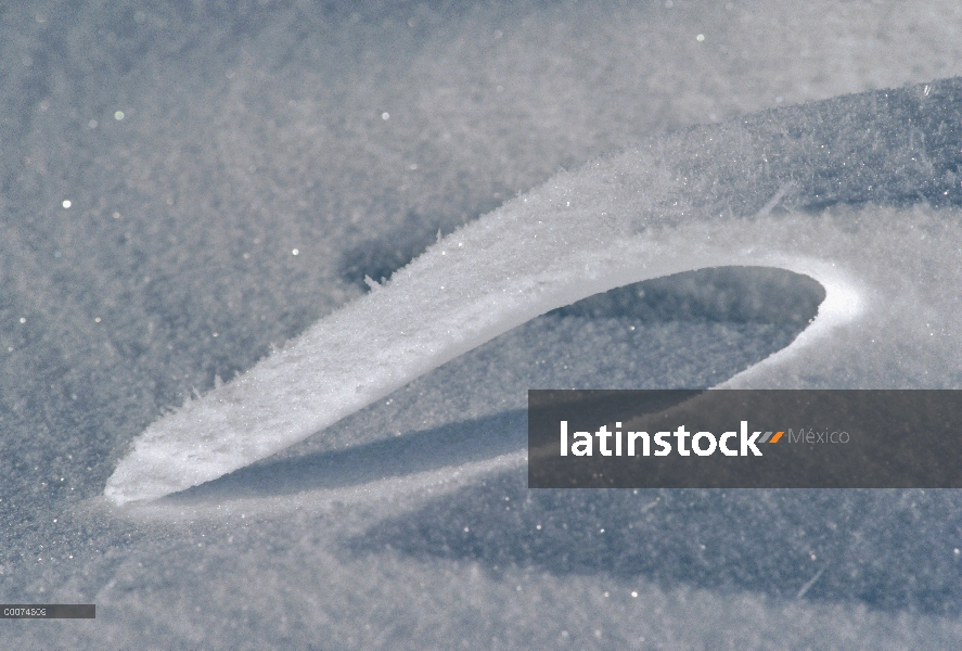 Detalle de la nieve, isla de Ellesmere, Nunavut, Canadá