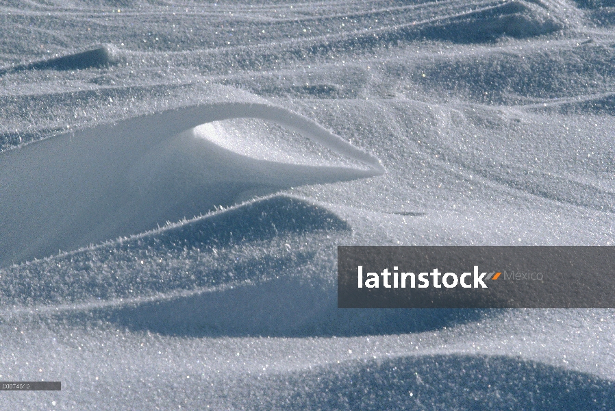 Detalle de la nieve, isla de Ellesmere, Nunavut, Canadá