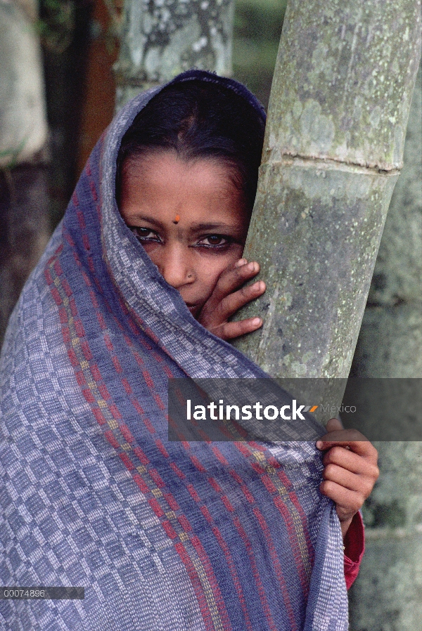 Bambú (Dendrocalamus sp) por mujer de Nepal, Nepal