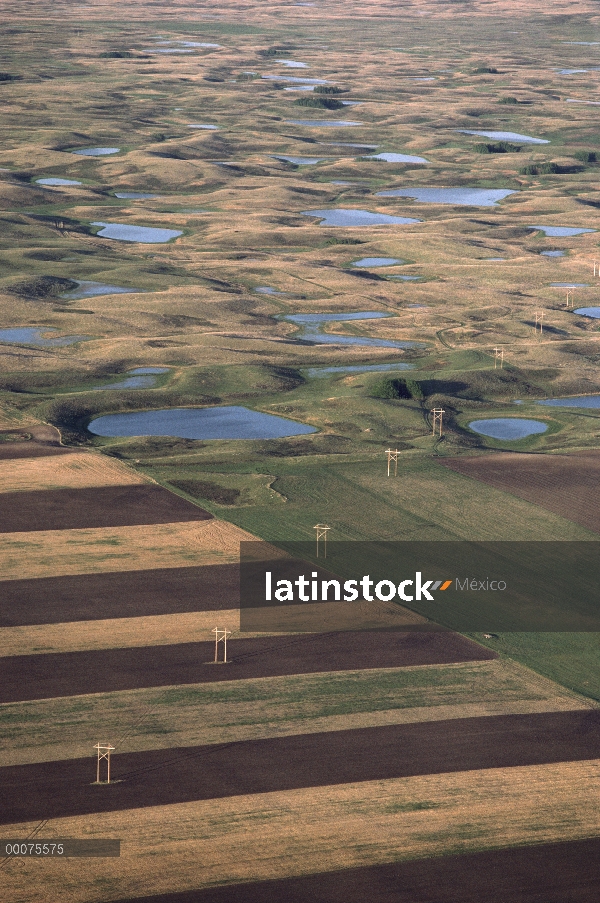 Tierras de labrantío invaden baches de pradera, Dakota del sur