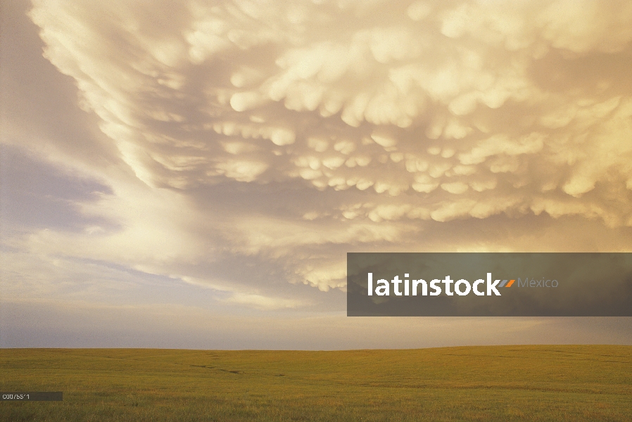 Pradera bajo amenaza nubes de trueno, Dakota del sur