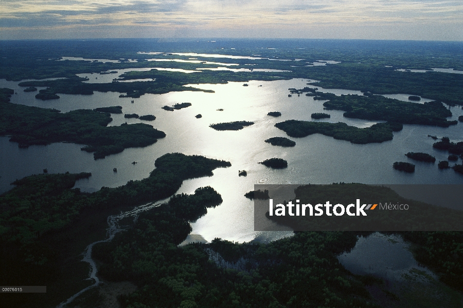 Basswood Lake en el límite de las aguas canoa zona desierto, Minnesota