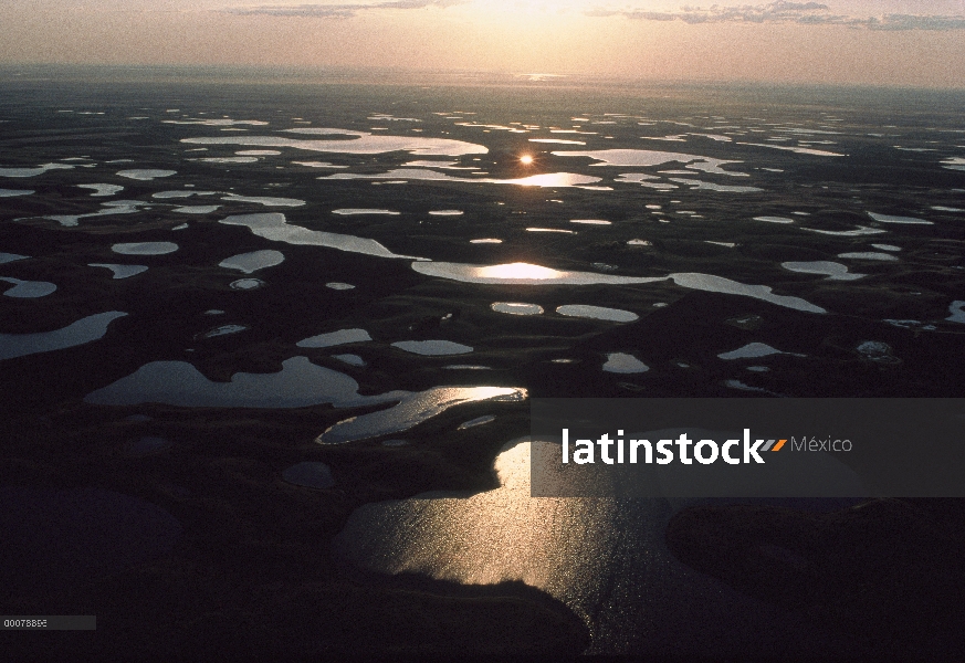 Puesta de sol sobre baches de pradera, Dakota del sur