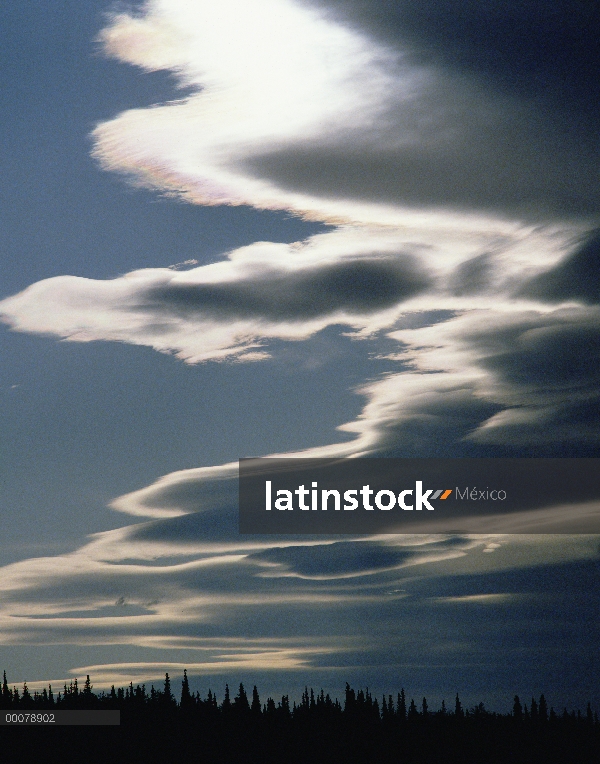 Nubes sobre pinos, Alaska