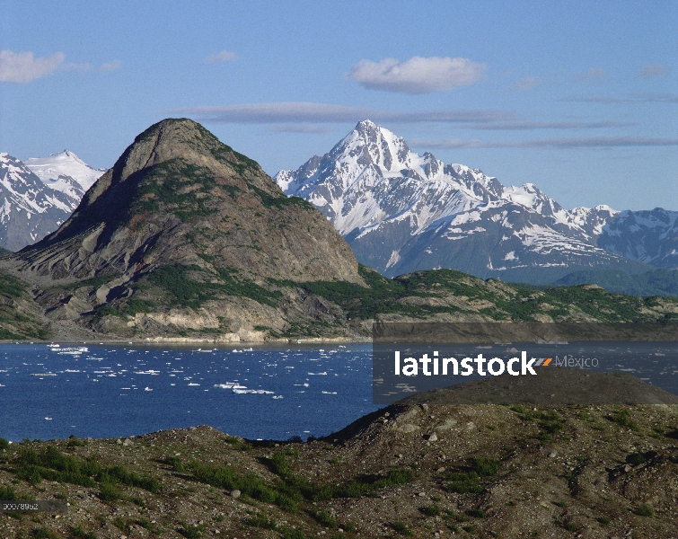 Paisaje de Glacier Bay, Alaska