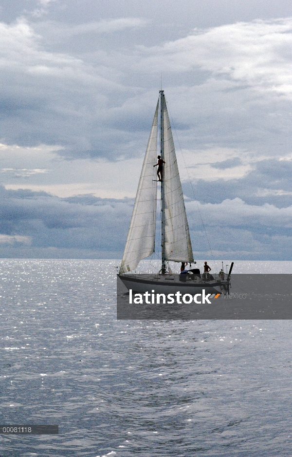 Investigadores de cachalote (Physeter macrocephalus) en velero en busca de ballenas, Sri Lanka