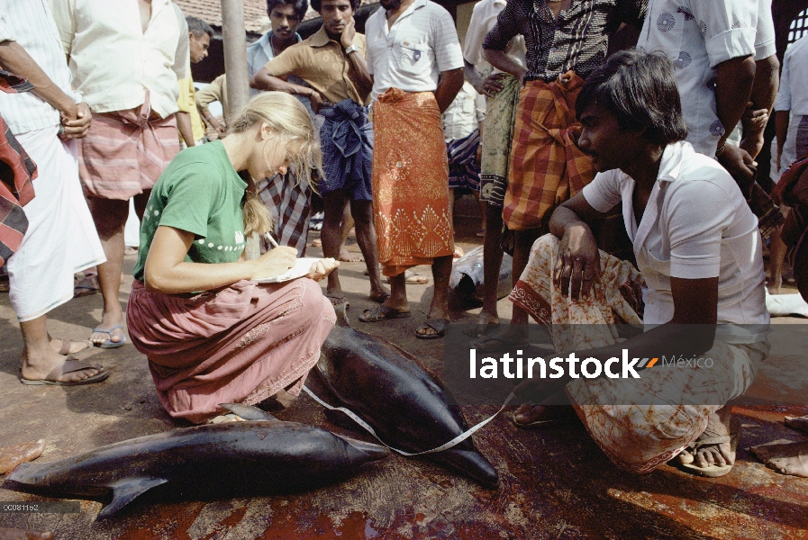 Biólogo que documenta la captura incidental de delfines, Sri Lanka