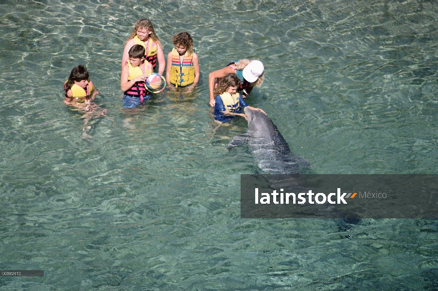 Delfín mular (Tursiops truncatus) interactuando con los niños, centro de aprendizaje de búsqueda de 