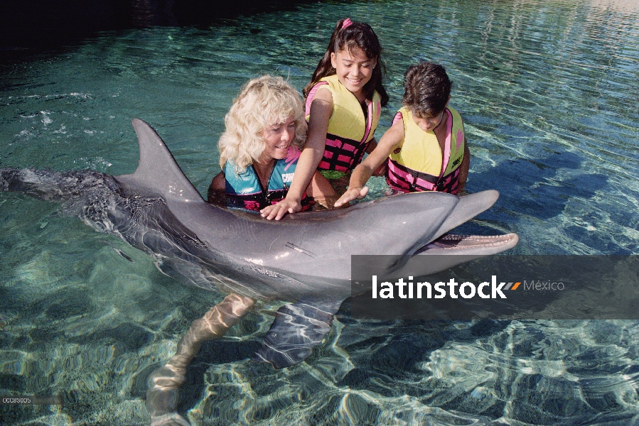 Delfín mular (Tursiops truncatus) interactuando con los niños, centro de aprendizaje de búsqueda de 