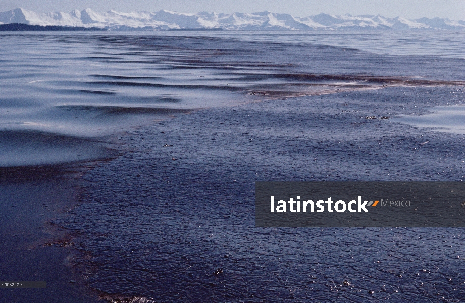 Derrame de petróleo de Exxon Valdez, Prince William Sound, Alaska