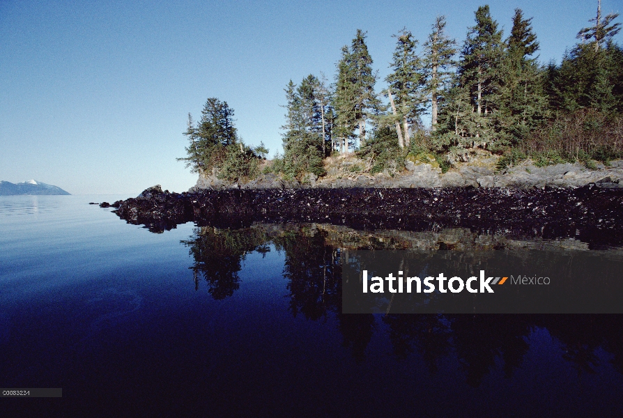 Marca de marea alta muestra aceite en costa rocosa derramada por derrame de petróleo de Exxon Valdez