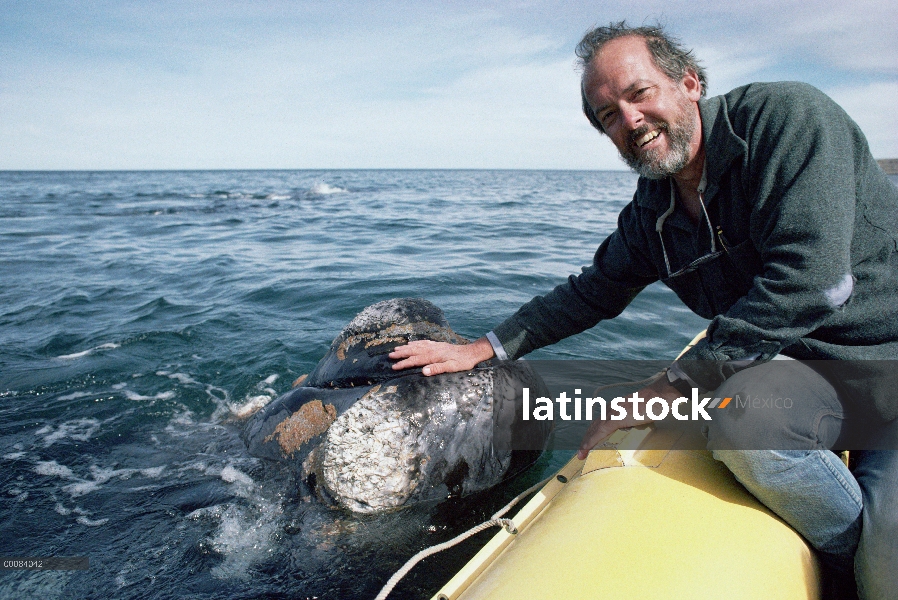 Sur ballena franca (Eubalaena australis) investigador Roger Payne mascotas ballenas, Península Valde