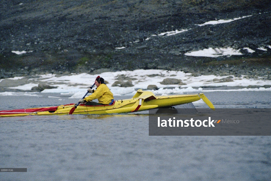 Ballena de Groenlandia (Balaena mysticetus) narices el kayak del biólogo Kerry Finley, Isabella Bay,