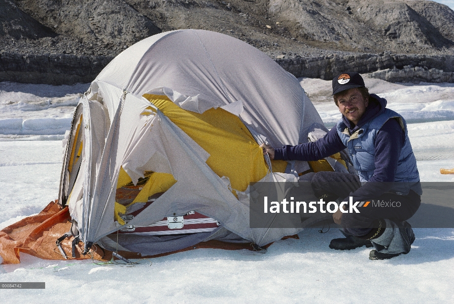 Ballena del investigador John Ford muestran daños de oso polar a la carpa, Ártico