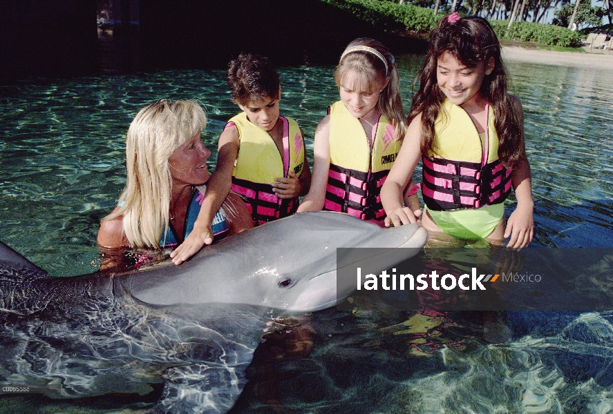 Delfín mular (Tursiops truncatus) interactuando con los niños, centro de aprendizaje de búsqueda de 