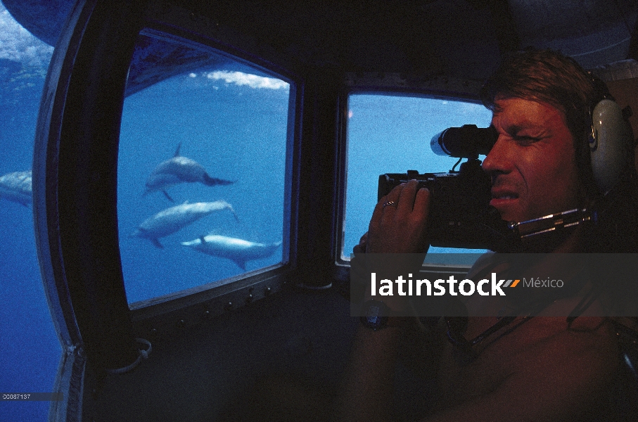 Grupo de delfines (Stenella longirostris) de Spinner video grabado por Jan Ostman-Lind en barco de v