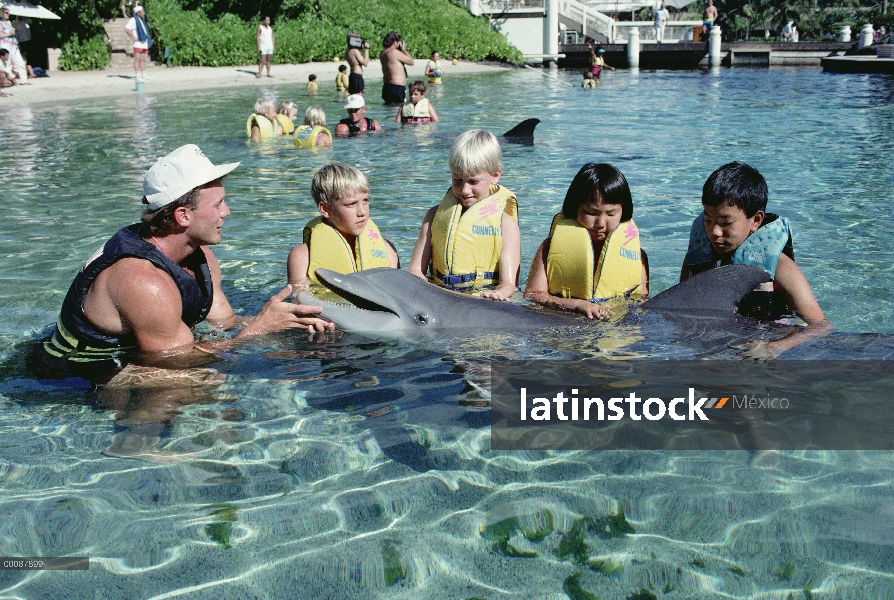 Delfín mular (Tursiops truncatus) interactuando con los niños, centro de aprendizaje de búsqueda de 