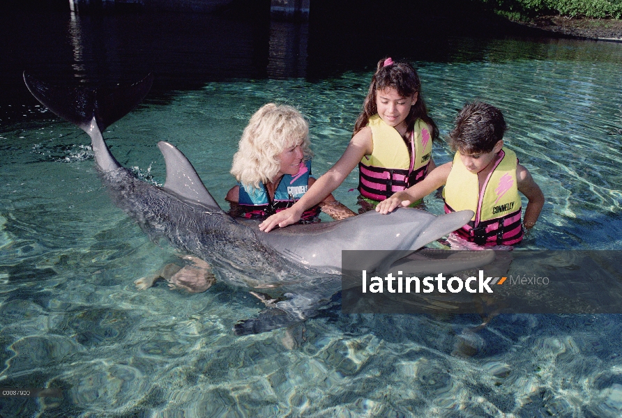 Delfín mular (Tursiops truncatus) interactuando con los niños, centro de aprendizaje de búsqueda de 