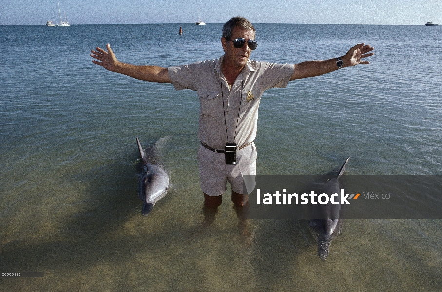 Delfín mular (Tursiops truncatus) que interactúan con los turistas con park ranger, Monkey Mia, Aust