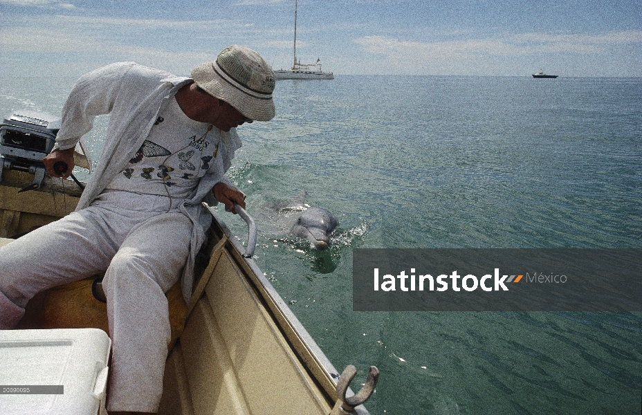 Investigador de delfines (Tursiops truncatus) mular Richard Connor observación individual del barco,