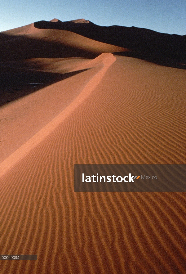 Paisaje de la ondulante arena, desierto de Namib, Namibia