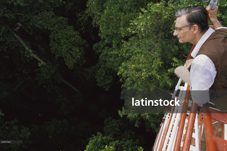 El Dr. entomólogo E. O. Wilson disfrutando de rainforest canopy vista desde torre de 45 metros de la