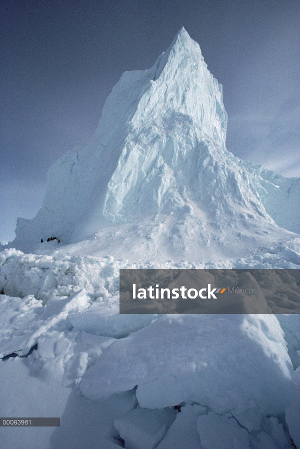 Iceberg, Ártico