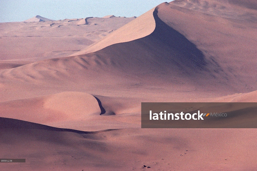 Trío de Gemsbok (Oryx gazella) caminando por las dunas de arena, desierto de Namib, Namibia