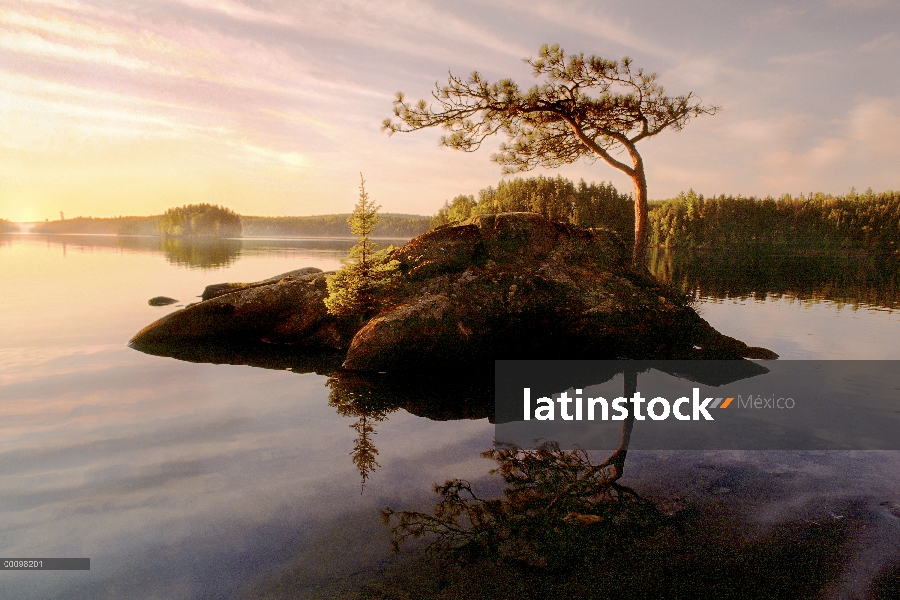 Pequeña isla en el lago de Ojibway, límite aguas canoa zona desierto, Minnesota