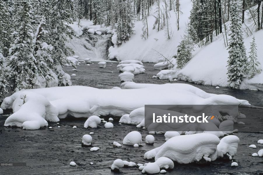 Río cubierto de nieve, Parque Nacional de Yellowstone, Wyoming