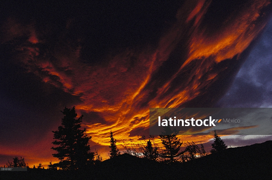 Nubes de color de puesta de sol, Teklanika, Alaska