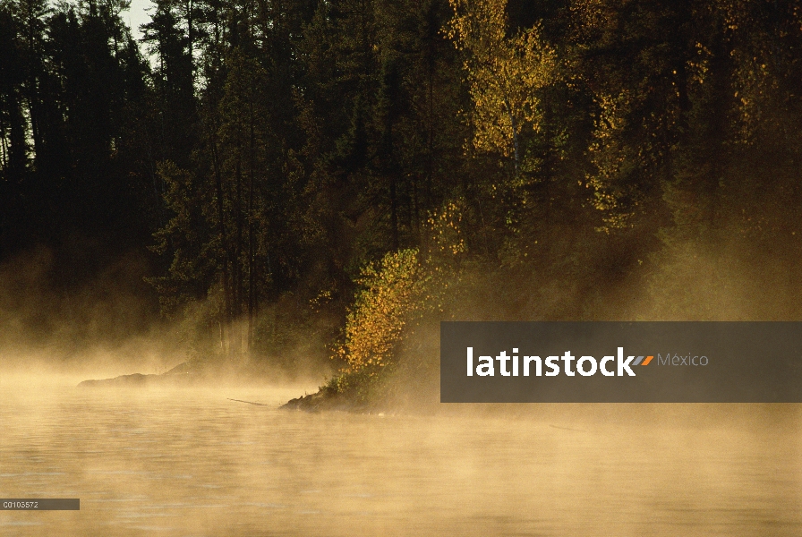 Niebla de la mañana sobre agua, límite aguas canoa zona desierto, Minnesota