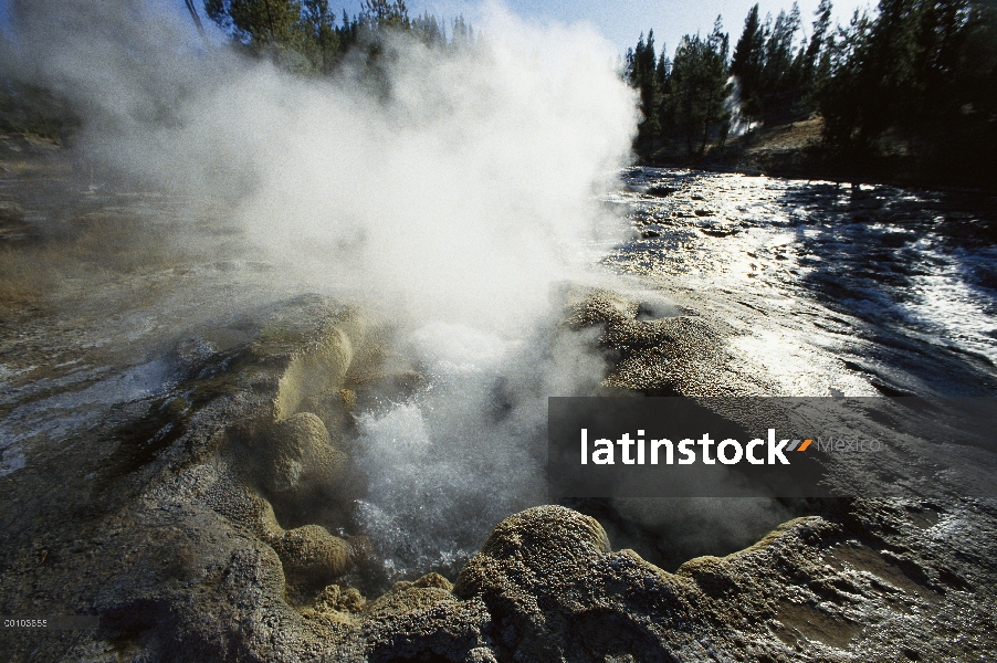 Géiser de vapor, Parque Nacional de Yellowstone, Wyoming