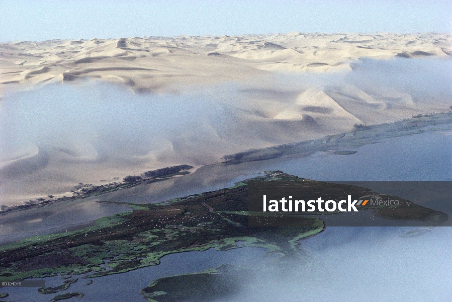 Dunas y humedales, Costa de los esqueletos, Namibia, Namibia