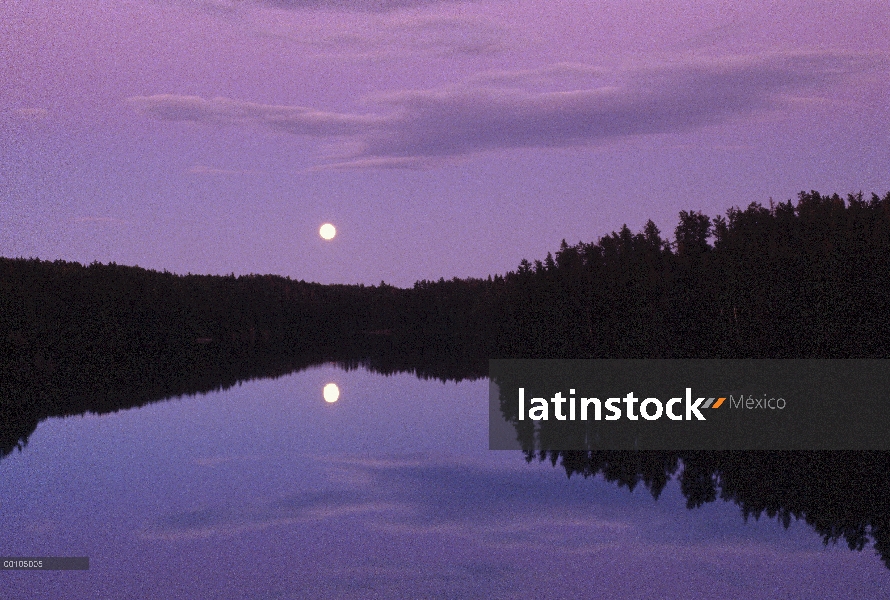 Luna llena sobre el lago, límite aguas canoa zona desierto, Minnesota