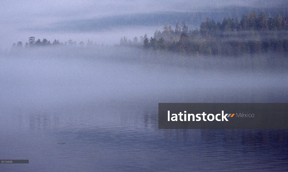 Bahía de niebla, sureste de Alaska