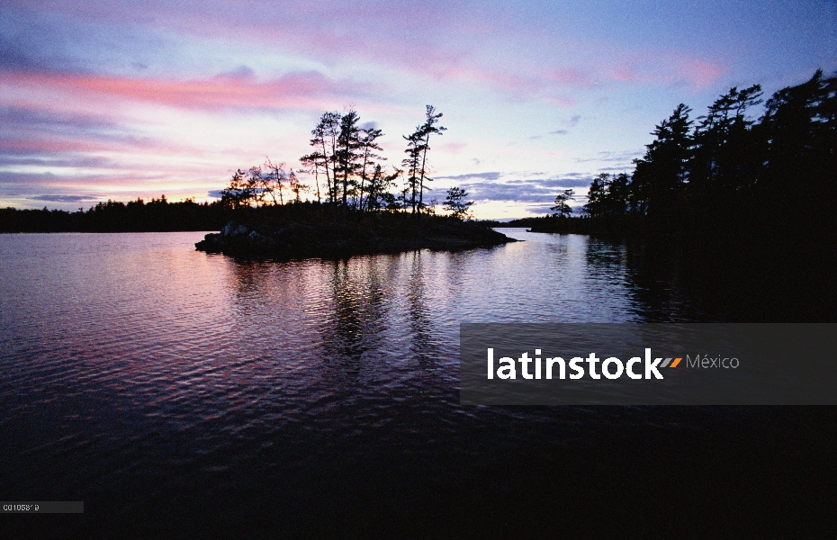 Pequeña isla en el límite de las aguas canoa zona desierto, Minnesota