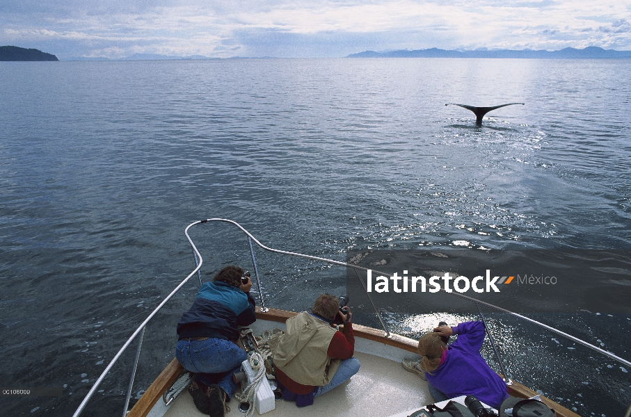 Turistas fotografiando ballenas de cubierta de barco, Alaska