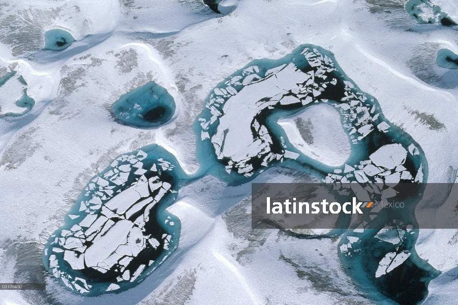 Piscinas azul hielo en el hielo ártico, isla de Ellesmere, Nunavut, Canadá